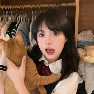 铁拳浪子
